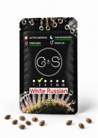 White Russian feminised Ganja Seeds