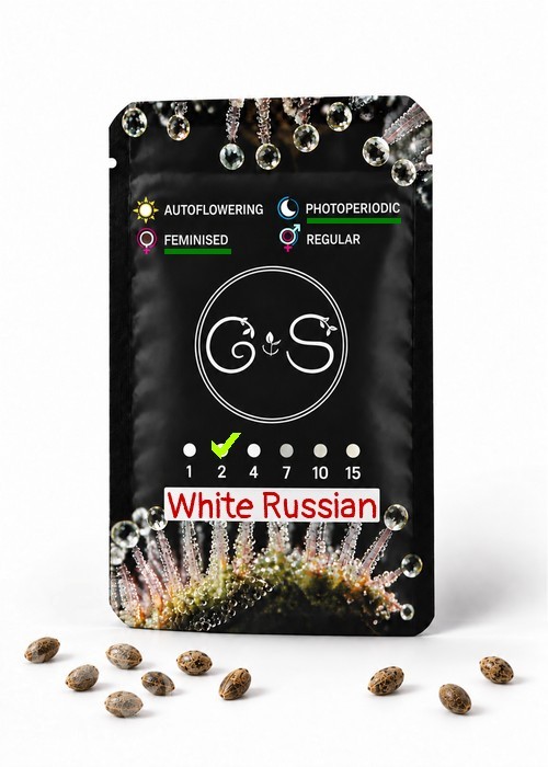 Семена марихуаны White Russian feminised Ganja Seeds