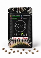 Auto Lemon Haze feminised Ganja Seeds