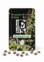 Auto Beshbarmak feminised Bang Seeds