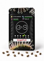 Grapefruit feminised Ganja Seeds