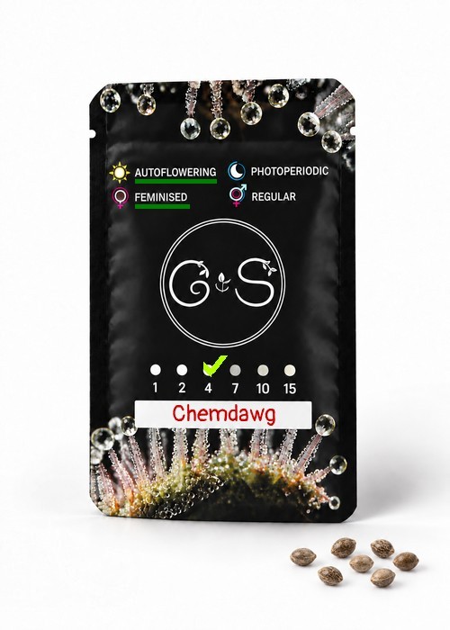 Семена марихуаны  Auto Chemdawg feminised Ganja Seeds