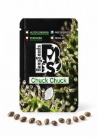 Auto Chuck Chuck feminised Bang Seeds
