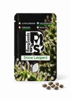 Snow Leopard feminised Bang Seeds