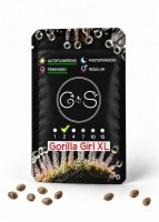 Auto Gorilla Girl XL feminised Ganja Seeds