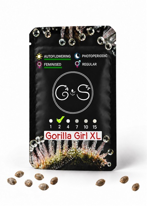 Семена ганжа  Auto Gorilla Girl XL feminised Ganja Seeds