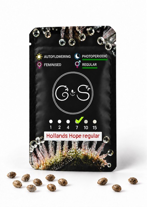 Семена марихуаны  Hollands Hope regular Ganja Seeds
