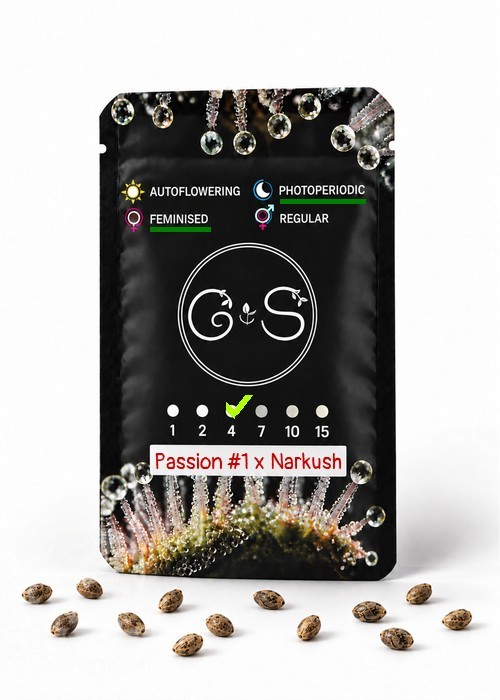 Семена  Passion #1 x Narkush feminised Ganja Seeds