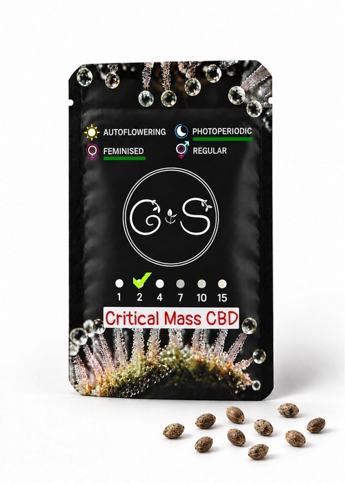 Семена каннабиса  Critical Mass CBD feminised Ganja Seeds