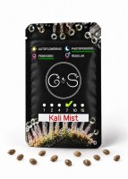 Kali Mist feminised Ganja Seeds