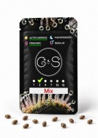 Auto Mix feminised Ganja Seeds