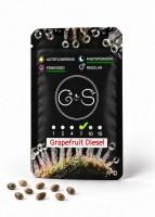 Grapefruit Diesel feminised Ganja Seeds
