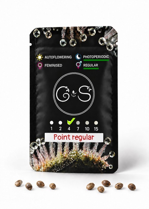 Семена  Point regular Ganja Seeds