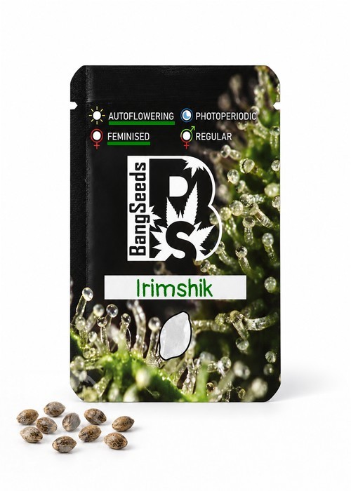 Семена  Auto Irimshik feminised Bang Seeds