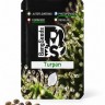 Turpan