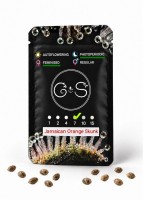 Jamaican Orange Skunk feminised Ganja Seeds