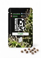 Auto Irtysh feminised Bang Seeds