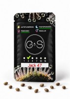 Jack 47 feminised Ganja Seeds