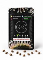 Original Afghani #1 regular Ganja Seeds