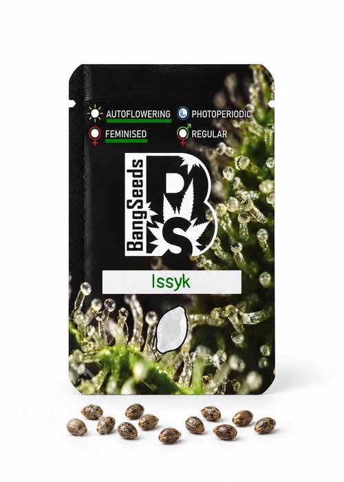 Семена  Auto Issyk feminised Bang Seeds