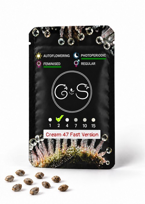 Семена конопли  Cream 47 feminised Fast Version Ganja Seeds 