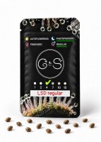 LSD regular Ganja Seeds