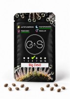 Big Devil feminised Ganja Seeds