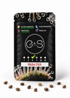 Auto Moby Dick feminised Ganja Seeds