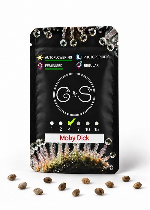 Семена конопли  Auto Moby Dick feminised Ganja Seeds