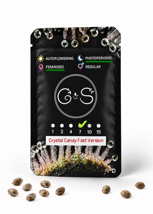Семена конопли  Crystal Candy feminised Ganja Seeds Fast Version