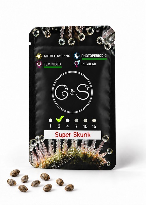 Семена ганжа  Super Skunk feminised Ganja Seeds