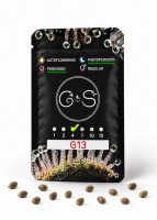 G13 feminised Ganja Seeds