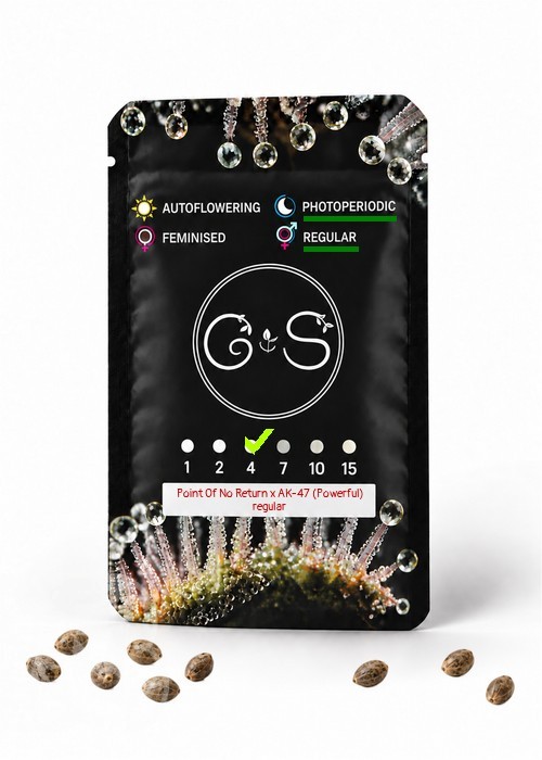 Семена  Point Of No Return x AK-47 (Powerful) regular Ganja Seeds