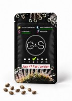 Jack 47 feminised Fast Version Ganja Seeds