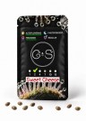 Auto Sweet Cheese feminised Ganja Seeds