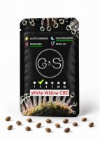 White Widow CBD feminised Ganja Seeds