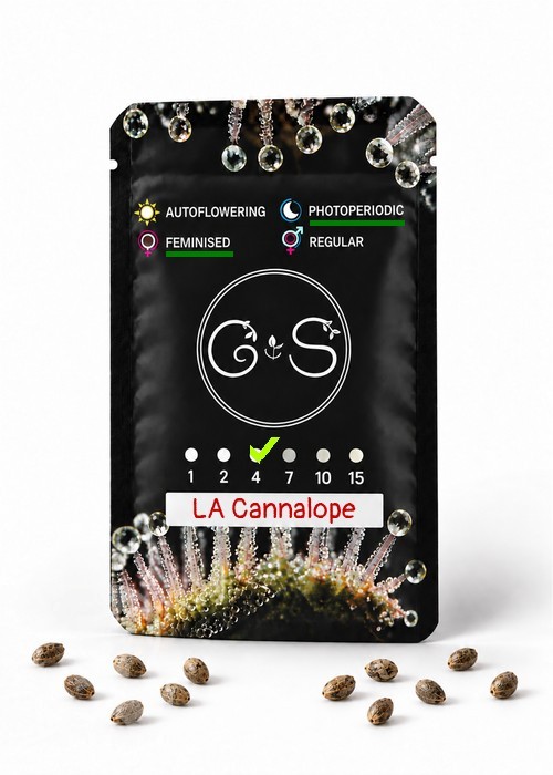 LA Cannalope feminised Ganja Seeds