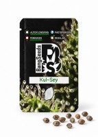 Auto Kul-Sey feminised Bang Seeds