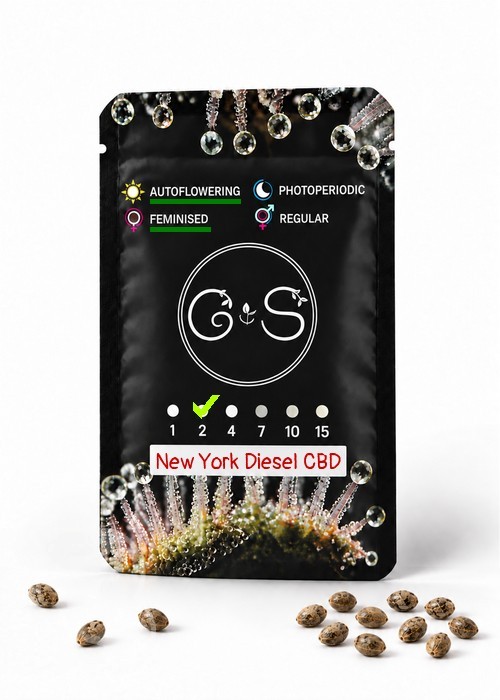 Семена каннабиса  Auto New York Diesel CBD feminised Ganja Seeds