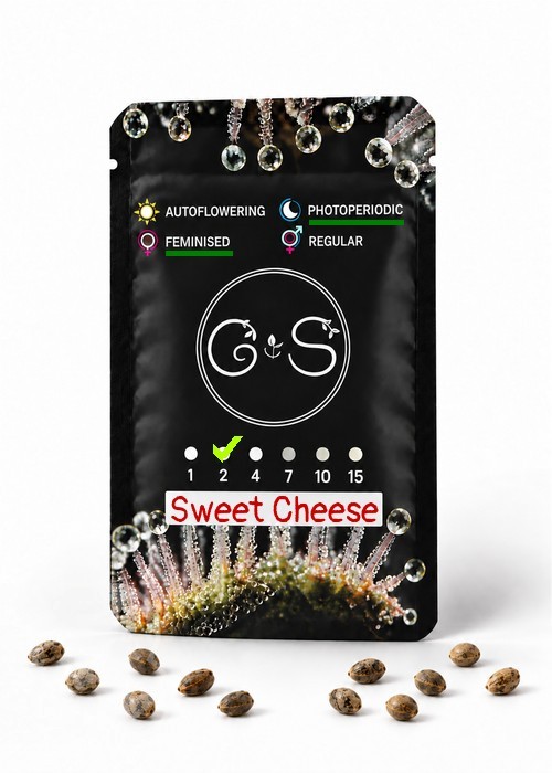 Семена каннабиса  Sweet Cheese feminised Ganja Seeds