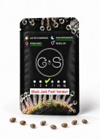 Black Jack feminised Fast Version Ganja Seeds 