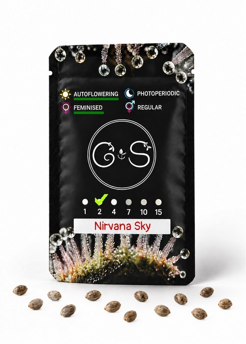 Семена марихуаны  Auto Nirvana Sky feminised Ganja Seeds