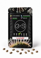 Lowryder feminised Ganja Seeds