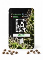 Auto Manti feminised Bang Seeds