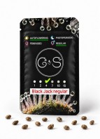 Auto Black Jack regular Ganja Seeds