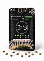 Californian Orange regular Ganja Seeds