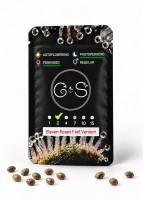 Eleven Roses feminised Fast Version Ganja Seeds 