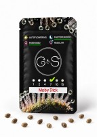 Moby Dick feminised Ganja Seeds