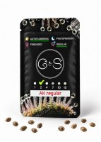 Auto AK regular Ganja Seeds
