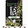 Shalkar